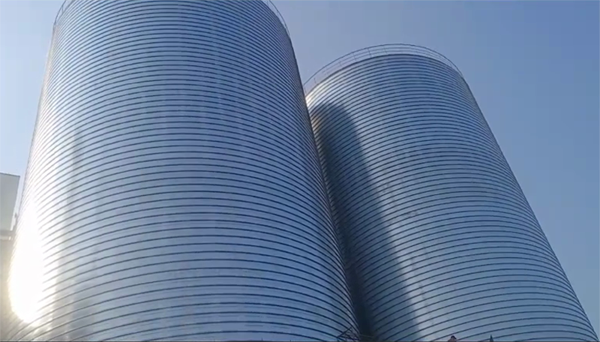 旬阳2座混凝土高架卷板仓